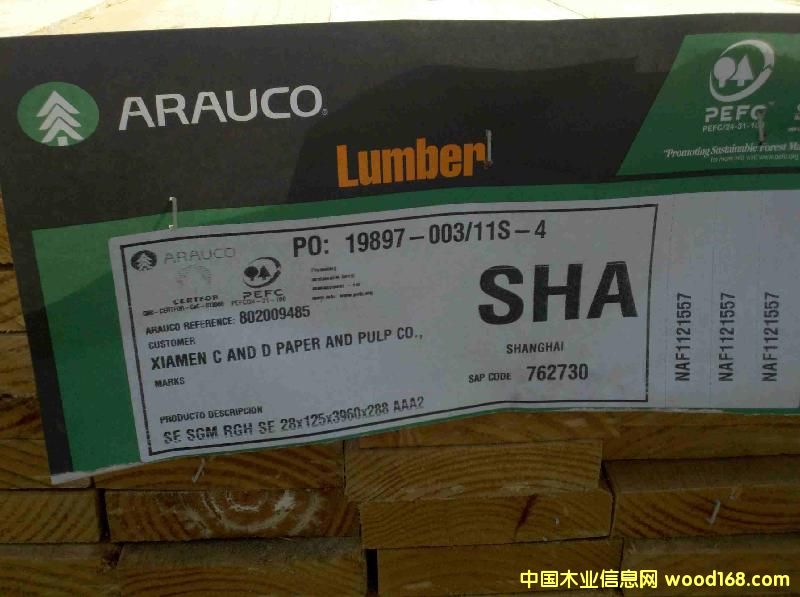 ����ľ����ARAUCO����ݗ���ɰ��