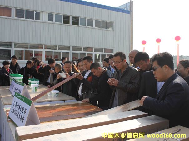 ��Դ��ľ���׌�ȫ����(j��ng)�N�̕��h�ں����G�T���_