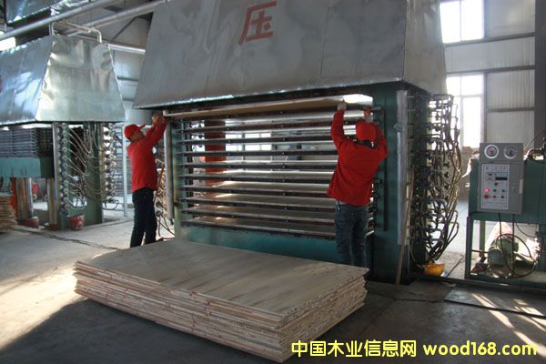 �����������P��ľ�I(y��)�����������B(t��i)��