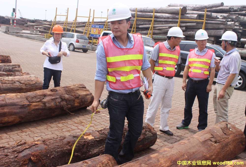 ���ô�TRANS-PAC FIBRE ��˾̫�}(c��ng)�ۏ�(f��)�(y��n)Մ�мo(j��)��(sh��)