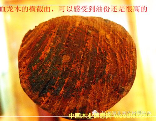 Ѫ��ľ�ļtɫԽ����͸���Խ��