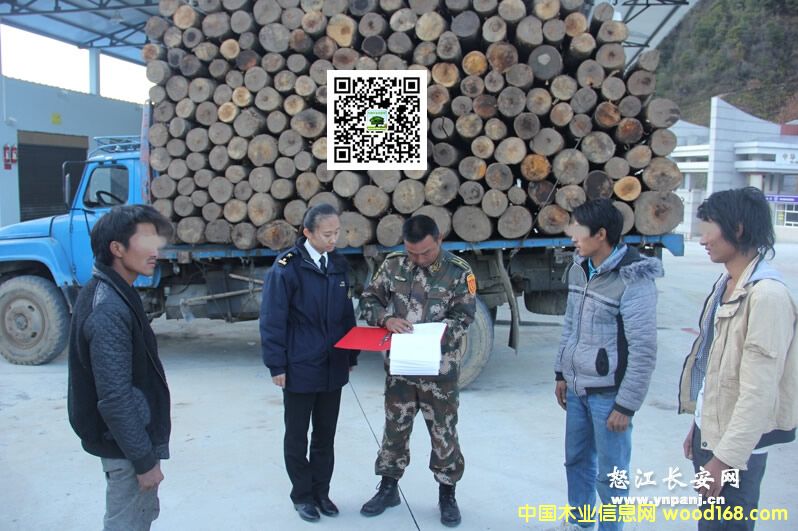 ����Ƭ�R߅���z��վ��@��˽���Ϙ�ԭľ206��