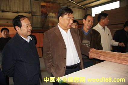 ����ɭ�����F(tu��n)�쿴�S�h�Ƽ�ľ�N���Ј�