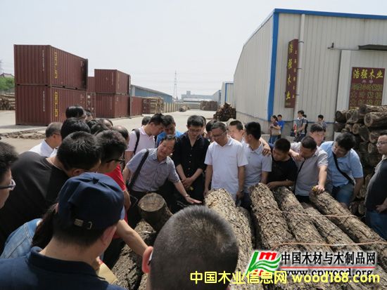 ȫ��(gu��)ľ�ęz�(y��n)��(����(j��))��(gu��)���I(y��)�Y����Ӗ(x��n)�����Ϻ��e�k