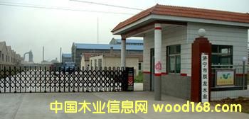 ɽ�|��������ľ�I(y��)