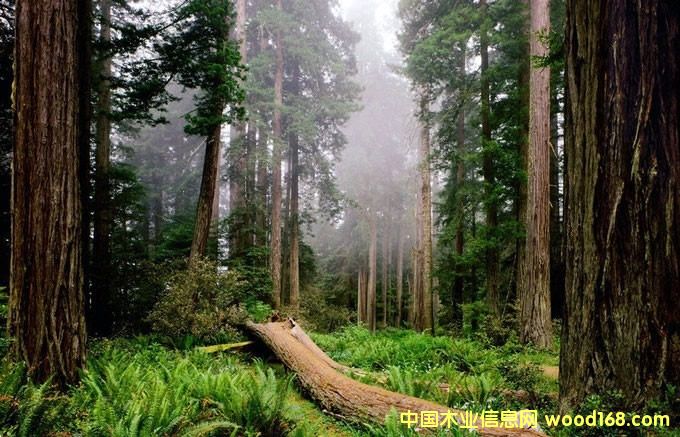 ��(gu��)�Hľ���Ј�(ch��ng)�YӍ������(gu��)���Ռ�ľ�Ĳɷ��������(l��i)���