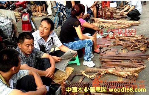 �����S���溣�ږ|�����Bһ�l��