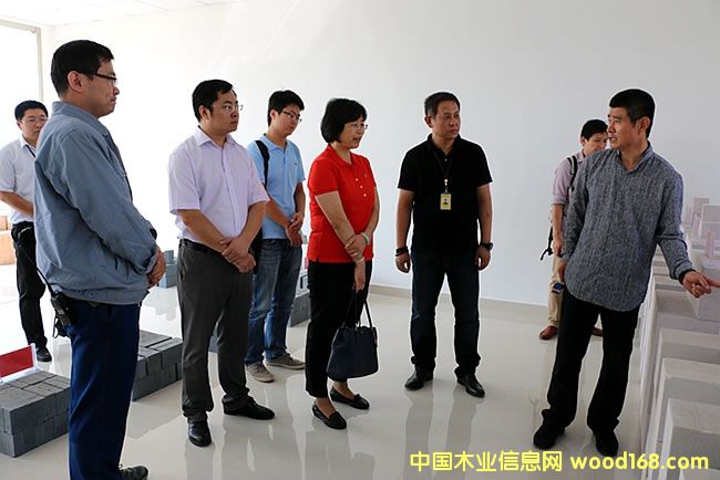 �ؽMľ�ߏ�(qi��ng)�ȷ������ɲ���I(y��)��ɽ�|����ľ��