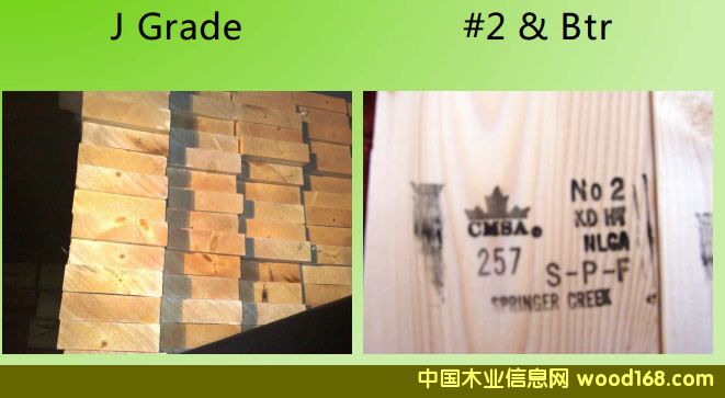 SPF �ȼ����D��