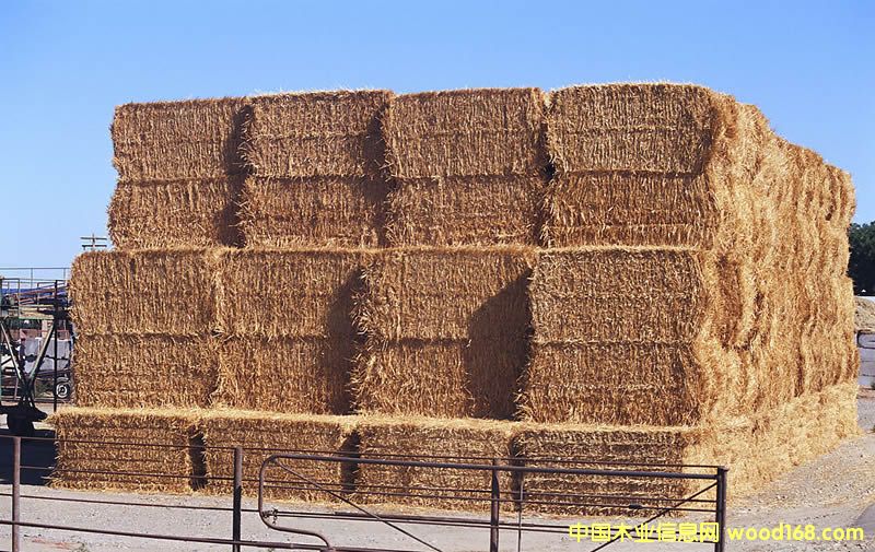 �ն������ԭ�϶ш�(ch��ng)