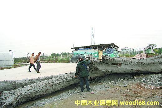 һ����ľ���x�潛(j��ng)�v 