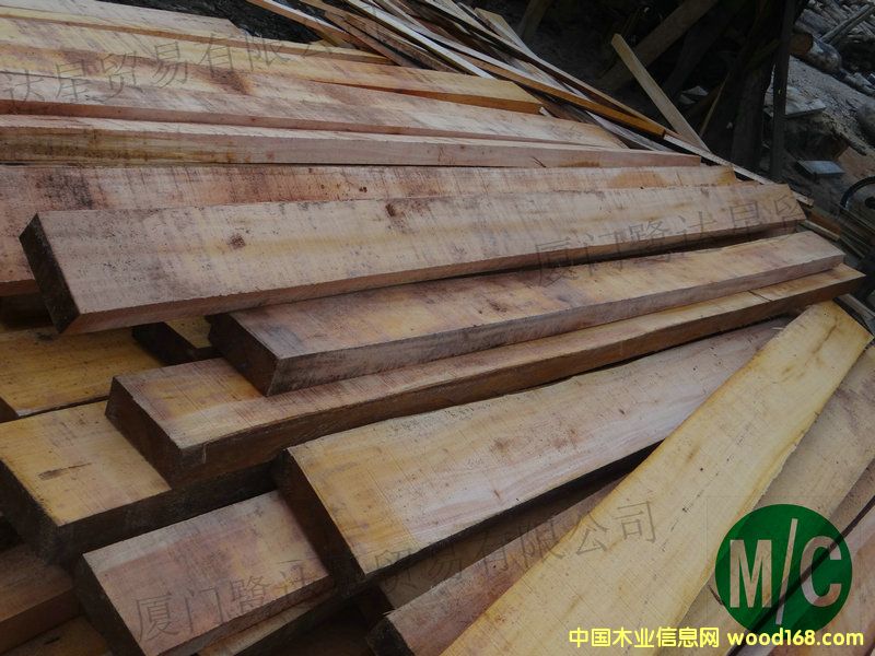 [��] ����(y��ng)�����e�һ�о