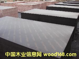 ��ģ5��Ԕ����B