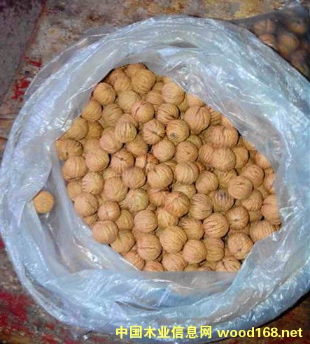 �c���鿴�������^���ҷŴ�DƬ