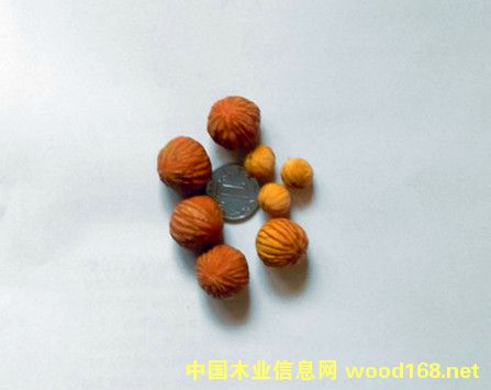 �c���鿴С���^���ҷŴ�DƬ