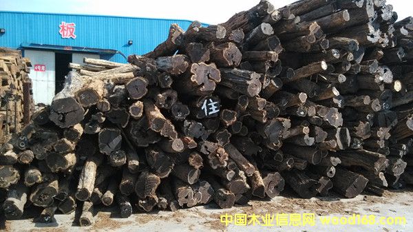 ��ľ(�Ϲ�̴)��Ԕ����B