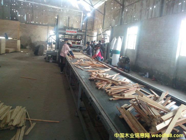 ȫ�Ԅ�(d��ng)��(x��)ľ���剺�C(j��)�O(sh��)���Ԕ��(x��)��B