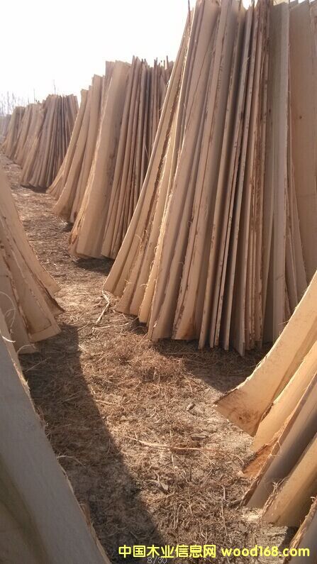 ��ľ��ƴ��