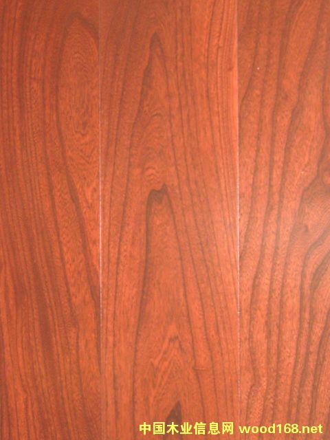 ��ܗ��~�tHLNP201201��Ԕ��(x��)��B