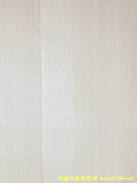 �����HLZ2010