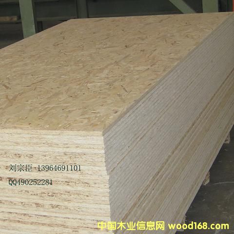 ���������ٻ���