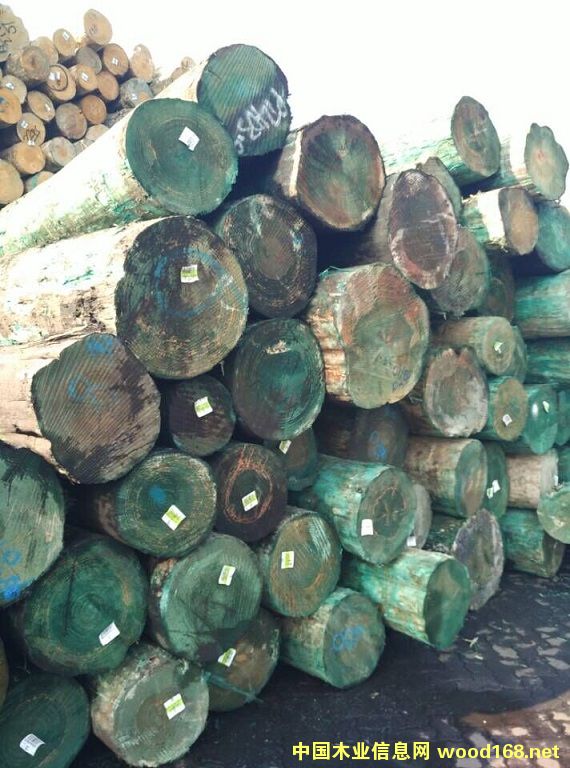 �����m�ɟo��(ji��)����ԭľ��Ԕ����B