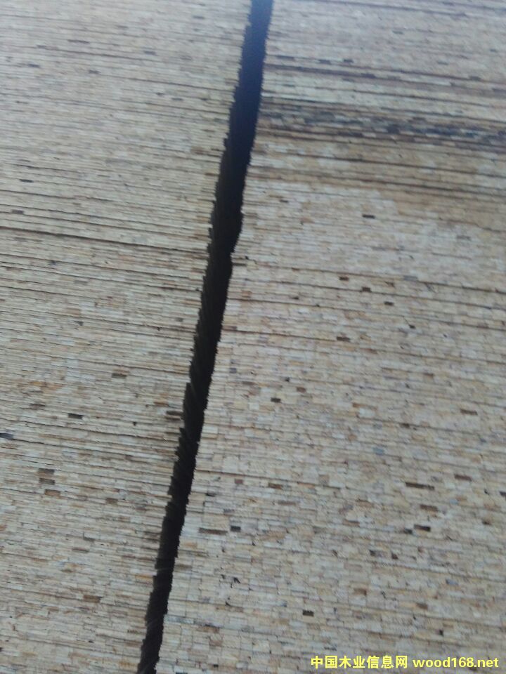 ͩľ�pƴ���Ԕ����B