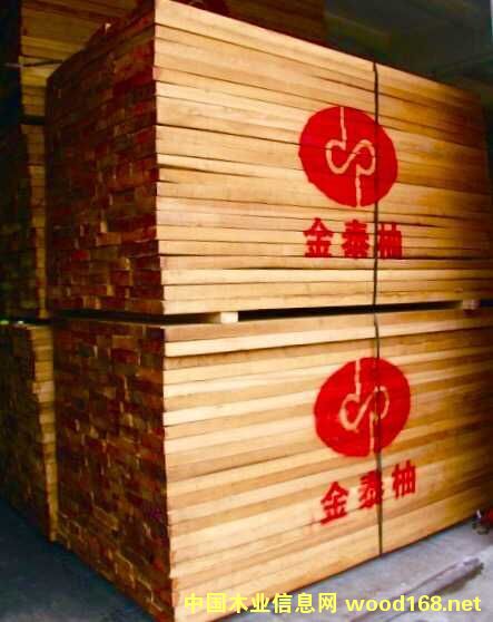 金泰柚的詳細(xì)介紹