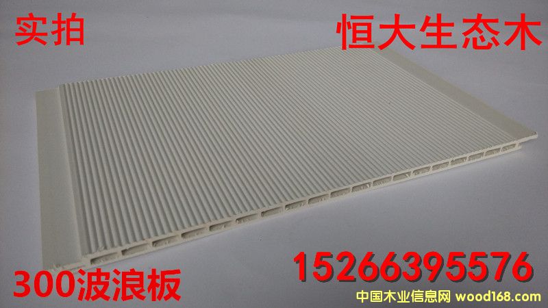 ���B(t��i)ľ300���