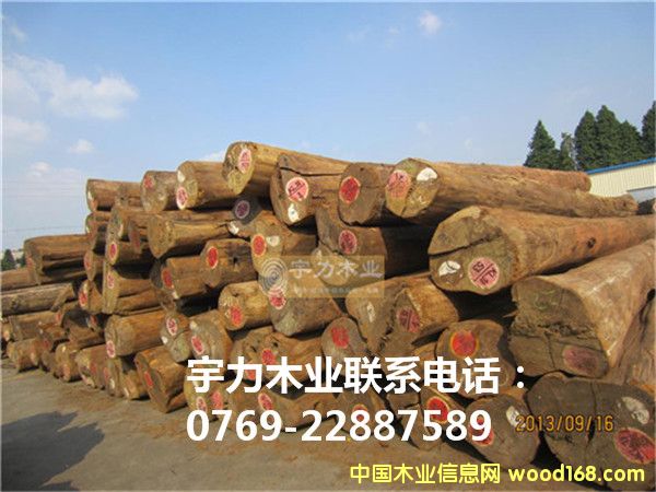 ��ľԭľ���Q(m��o)�ĵ�Ԕ����B