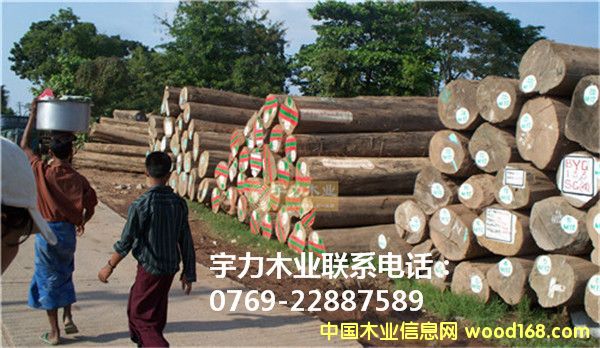 ��ľ���Q(m��o)�ĵ�Ԕ����B