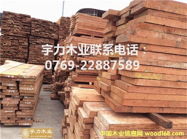 �������涨�Ƶ�Ԕ����B