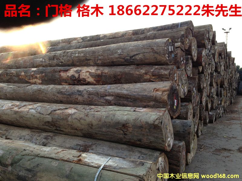 �T(m��n)�񣨸�ľ��