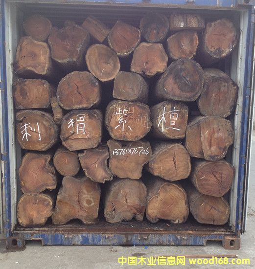 �����̴��Ԕ��(x��)��B