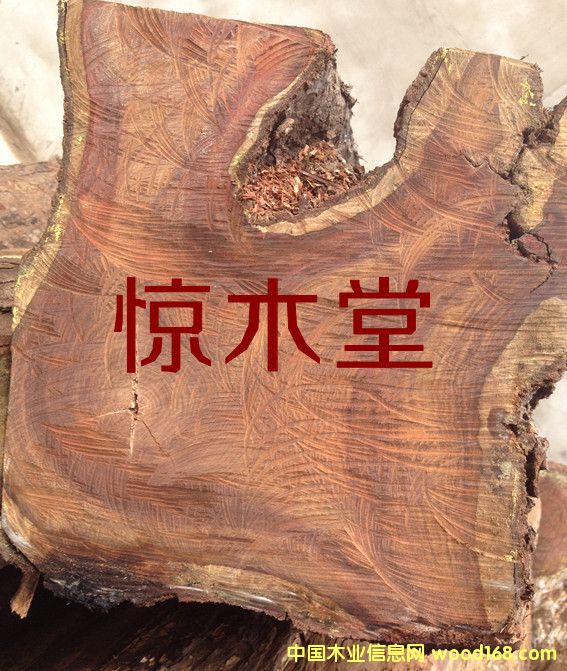 �ȽB�����̴��Ԕ��(x��)��B