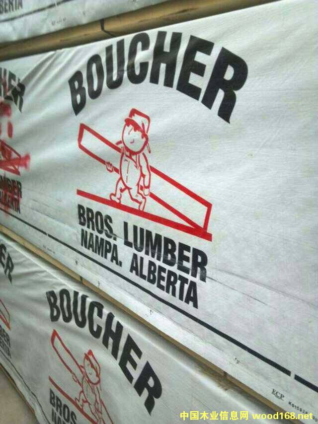 SPF��Ԕ��(x��)��B