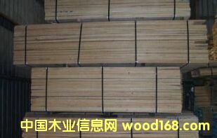 �����ľ��Ԕ��(x��)��B