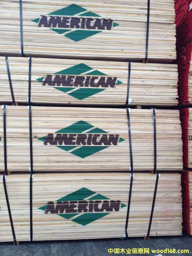 白橡的詳細(xì)介紹