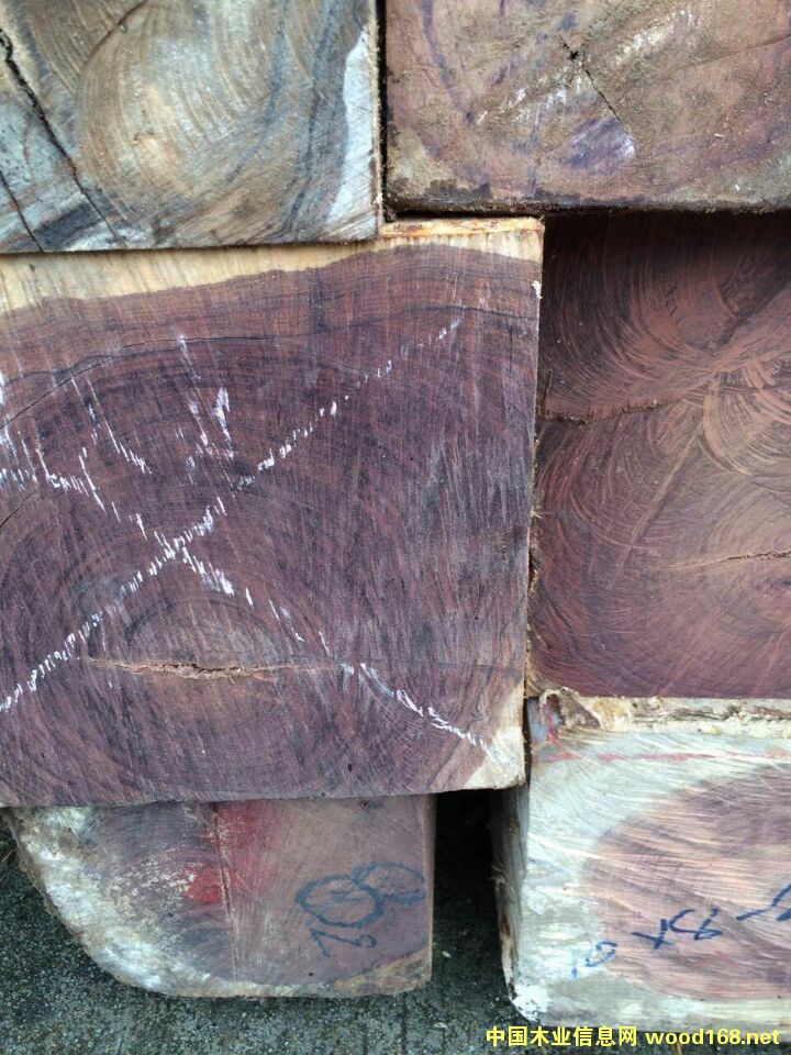 �ϓ뻨֦��Ԕ����B