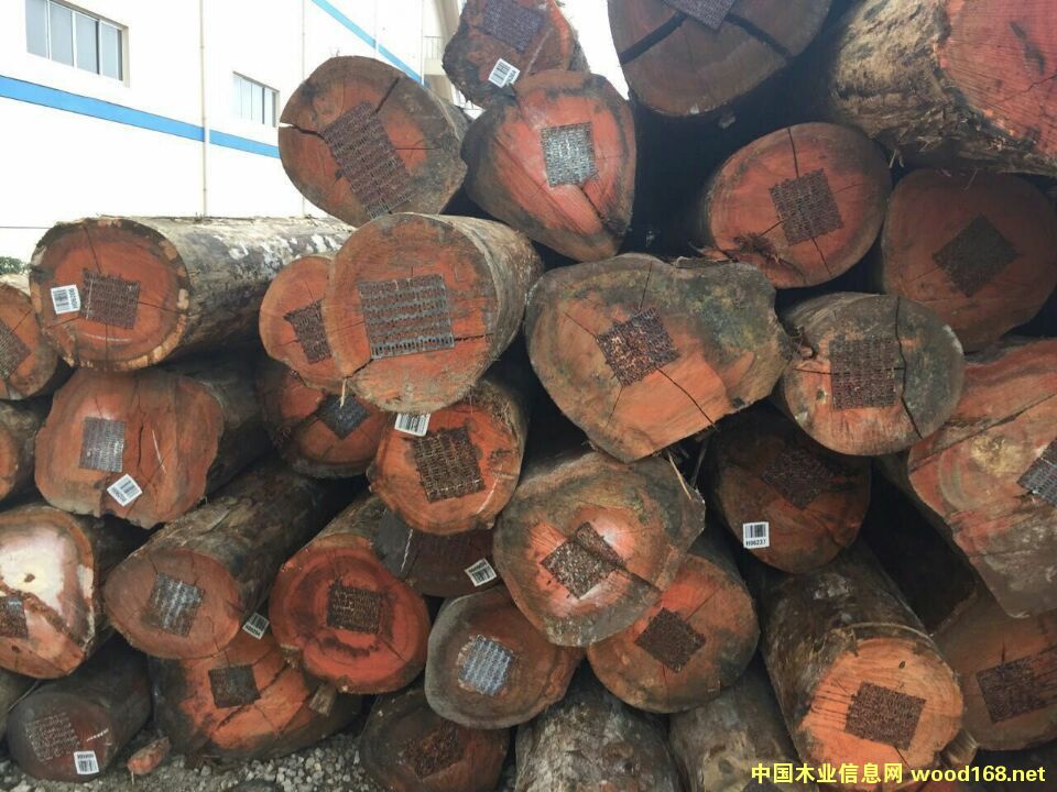 õ��ľ��Ԕ����B