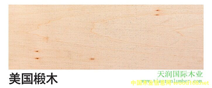 �ľ��Ԕ��(x��)��B