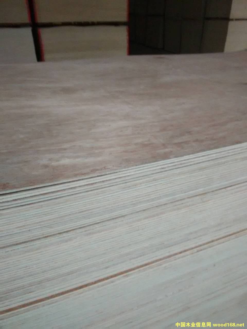 ����(y��ng)һ�γ�����ȩ��֬�z�����Ķ���ľ���