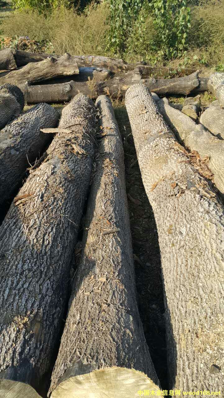 ��Ϟľ��Ԕ����B