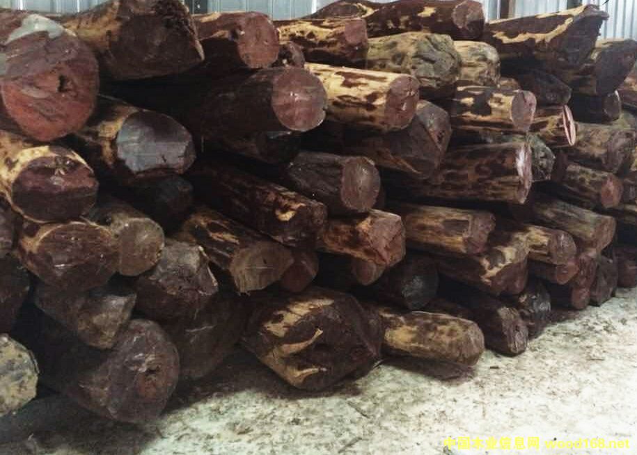 小葉紫檀的詳細(xì)介紹