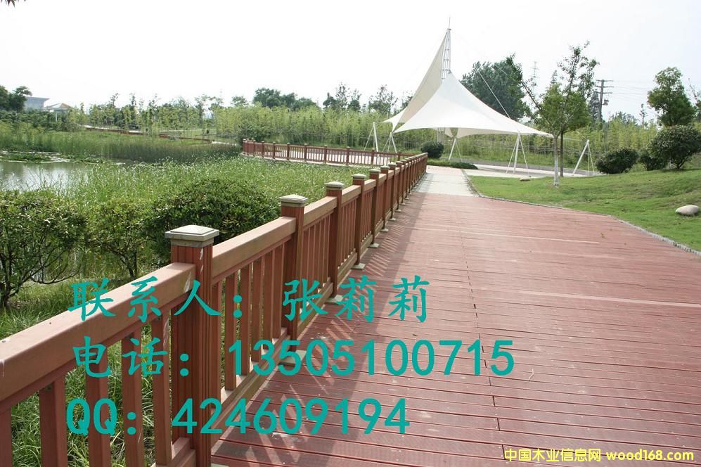 ��ľ�ذ��Ԕ����B