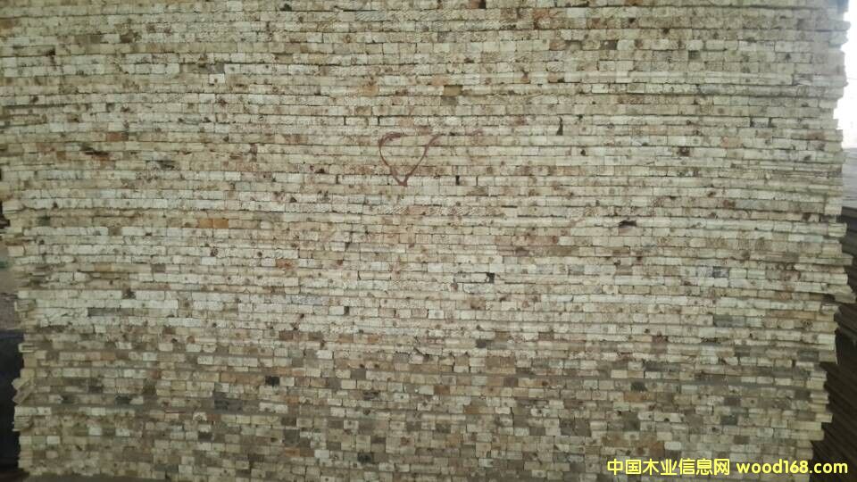 ��(x��)ľ��о��