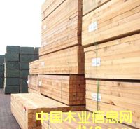 һ��ɼ�|(zh��)��ľ��Ԕ��(x��)��B