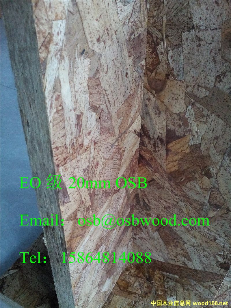 OSBľ�T���A�����r��