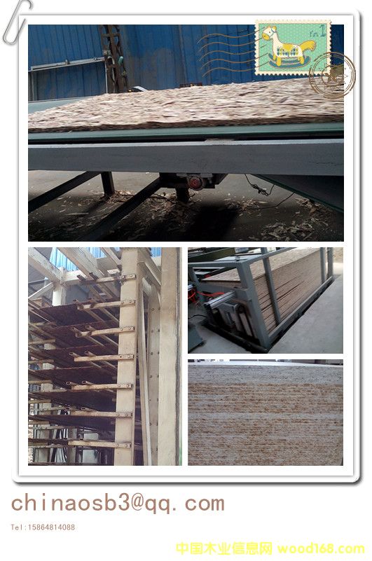 OSB�p䓽Y(ji��)��(g��u)���ݰ�