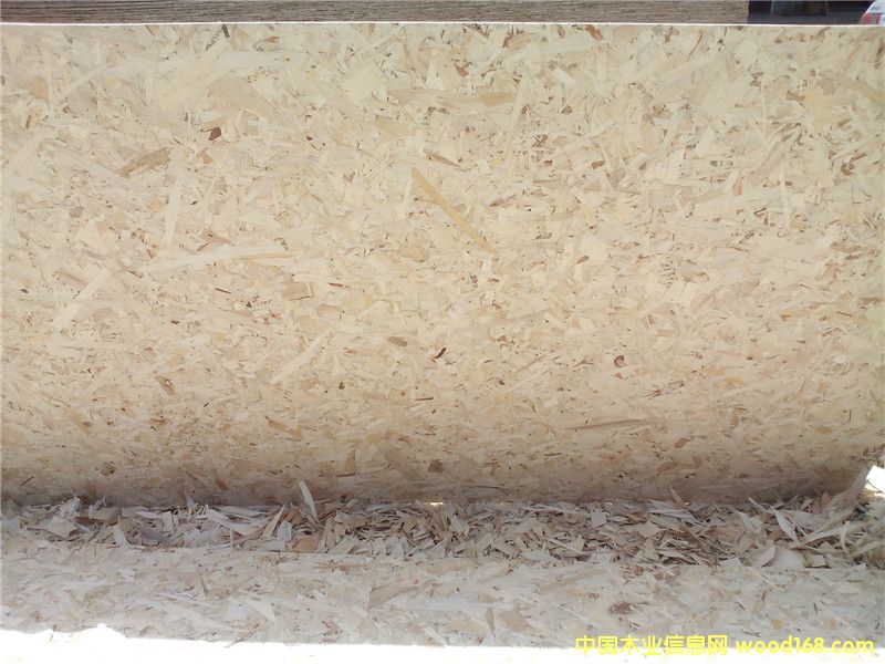 E1 ��(j��) ��ˮ �W�ɰ�